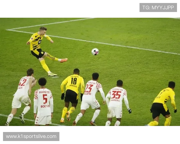 德甲足球队现状全景扫描各队赛季表现与转型路径分析